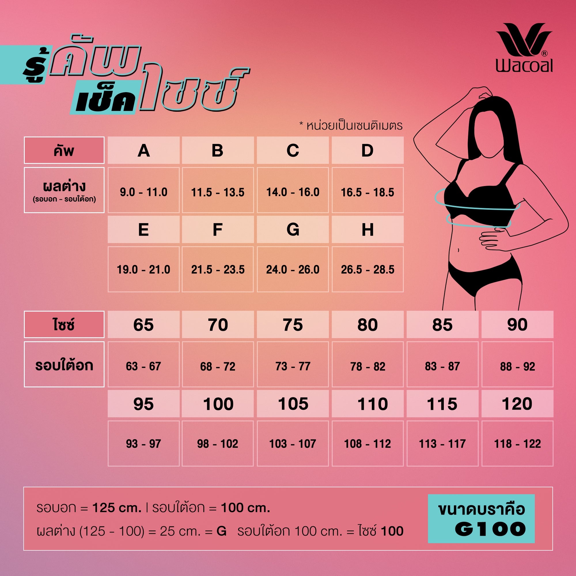 บราไซซ์ใหญ่ สำหรับสาวพลัสไซซ์ รุ่น WXQ301