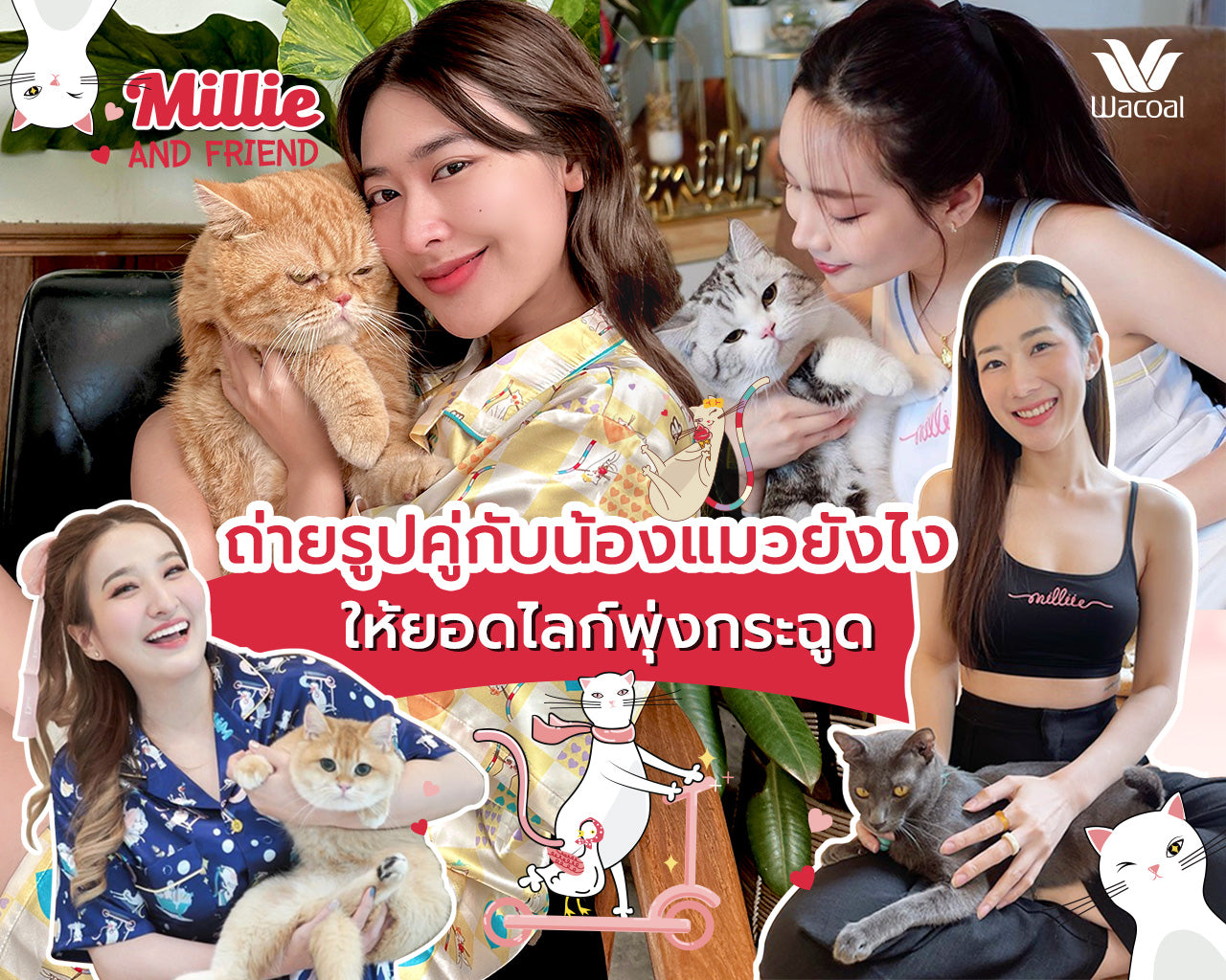ไอเดียถ่ายรูปคู่น้องแมว เรียกยอดไลก์แบบพุ่งกระฉูด